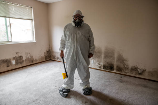 Commercial Mold Remediation and Inspection